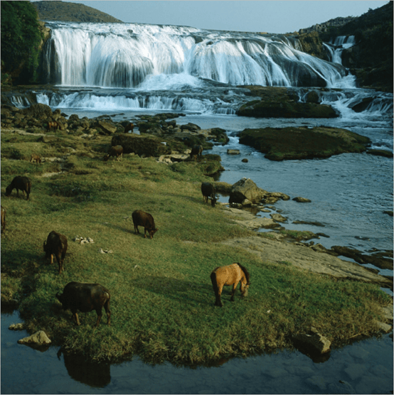 Steeppodang Waterfall 描述已自动生成